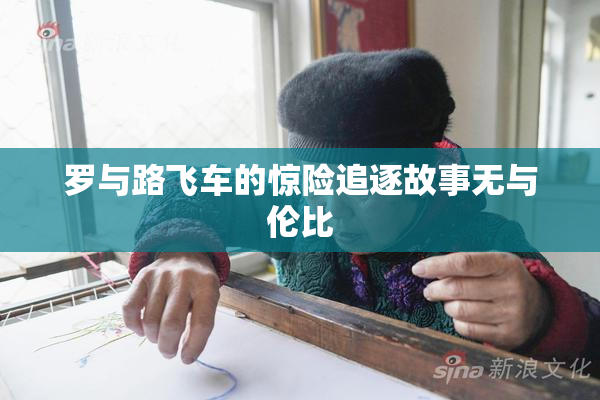 罗与路飞车的惊险追逐故事无与伦比
