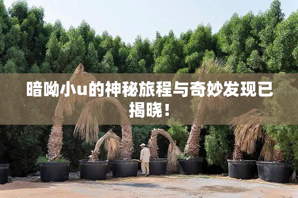 暗呦小u的神秘旅程与奇妙发现已揭晓！