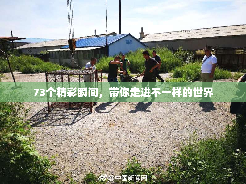 73个精彩瞬间，带你走进不一样的世界