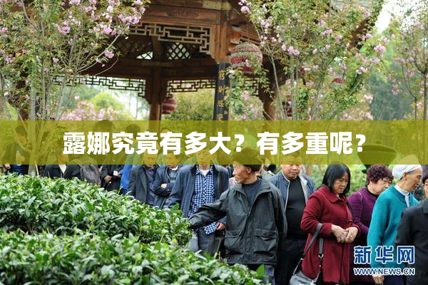 露娜究竟有多大？有多重呢？