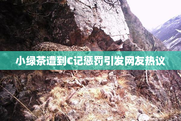 小绿茶遭到C记惩罚引发网友热议
