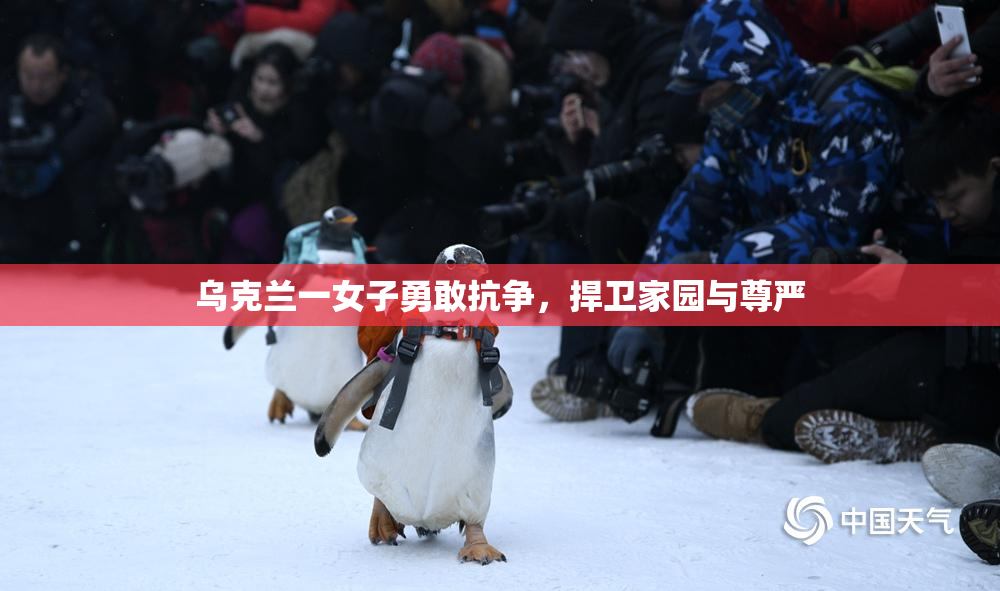 乌克兰一女子勇敢抗争，捍卫家园与尊严