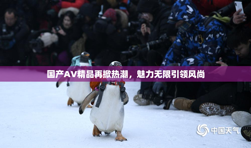 国产AV精品再掀热潮，魅力无限引领风尚