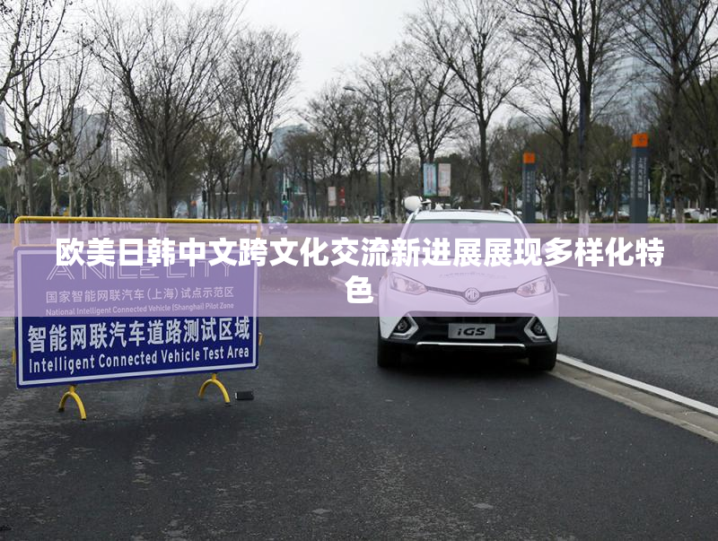 欧美日韩中文跨文化交流新进展展现多样化特色