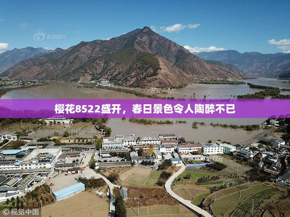 樱花8522盛开，春日景色令人陶醉不已