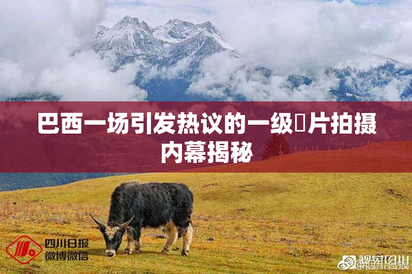巴西一场引发热议的一级婬片拍摄内幕揭秘