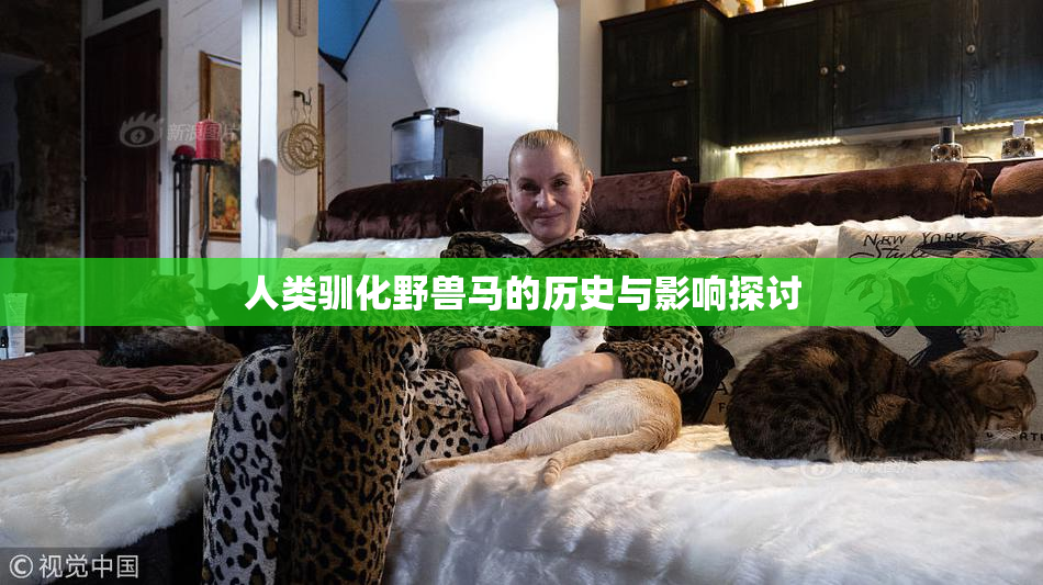 人类驯化野兽马的历史与影响探讨