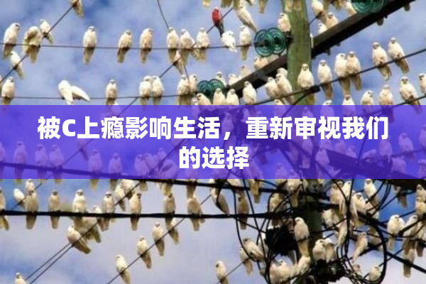 被C上瘾影响生活，重新审视我们的选择