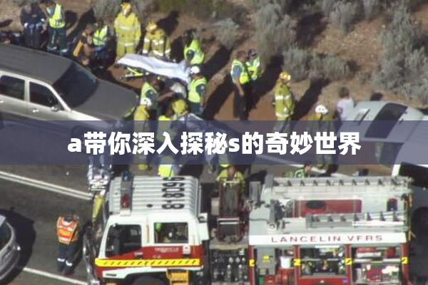 a带你深入探秘s的奇妙世界