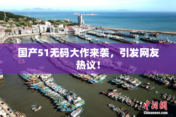 国产51无码大作来袭，引发网友热议！