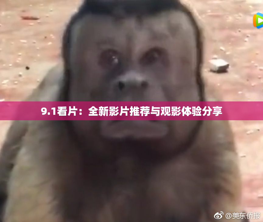 9.1看片：全新影片推荐与观影体验分享