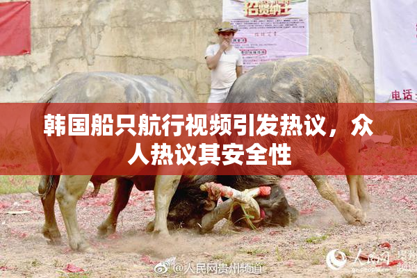 韩国船只航行视频引发热议，众人热议其安全性