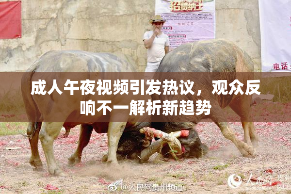 成人午夜视频引发热议，观众反响不一解析新趋势