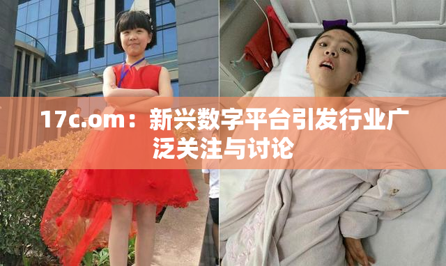 17c.om：新兴数字平台引发行业广泛关注与讨论
