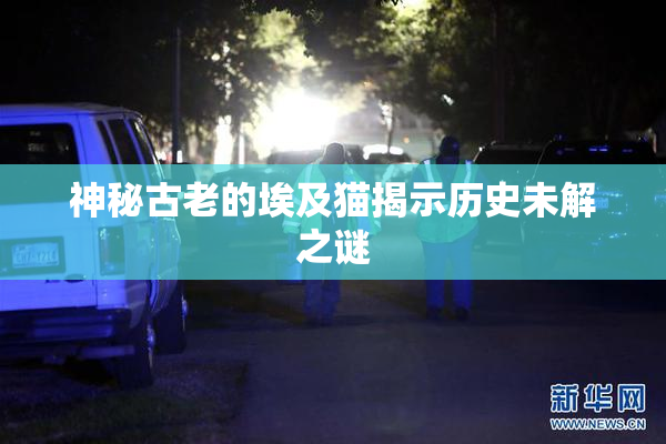 神秘古老的埃及猫揭示历史未解之谜
