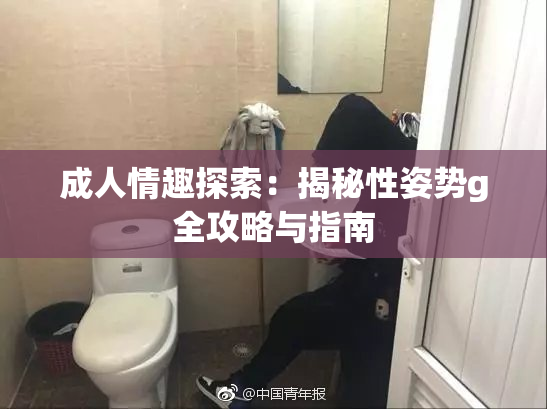 成人情趣探索：揭秘性姿势g全攻略与指南