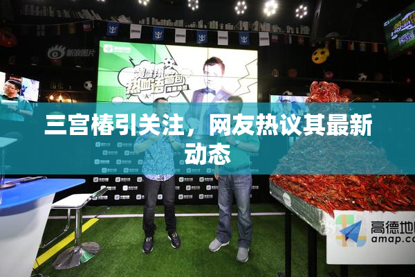 三宫椿引关注，网友热议其最新动态