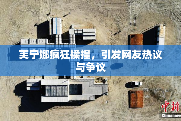 芙宁娜疯狂揉捏，引发网友热议与争议