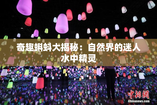 奇趣蝌蚪大揭秘：自然界的迷人水中精灵