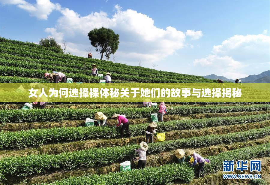 女人为何选择裸体秘关于她们的故事与选择揭秘