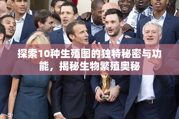 探索10种生殖图的独特秘密与功能，揭秘生物繁殖奥秘