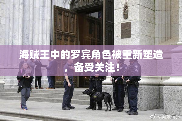 海贼王中的罗宾角色被重新塑造，备受关注！
