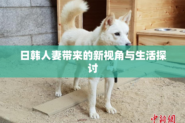 日韩人妻带来的新视角与生活探讨