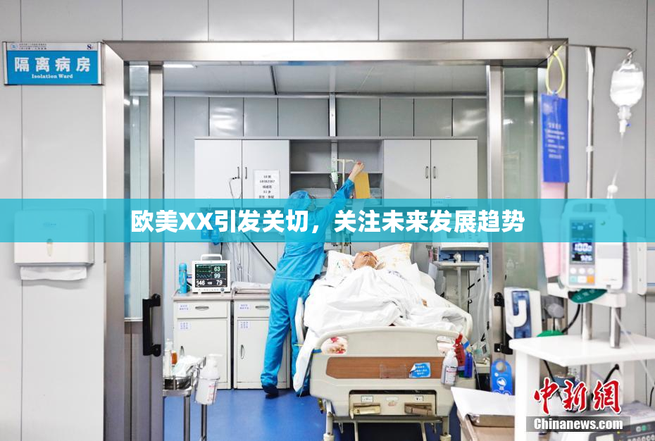 欧美XX引发关切，关注未来发展趋势