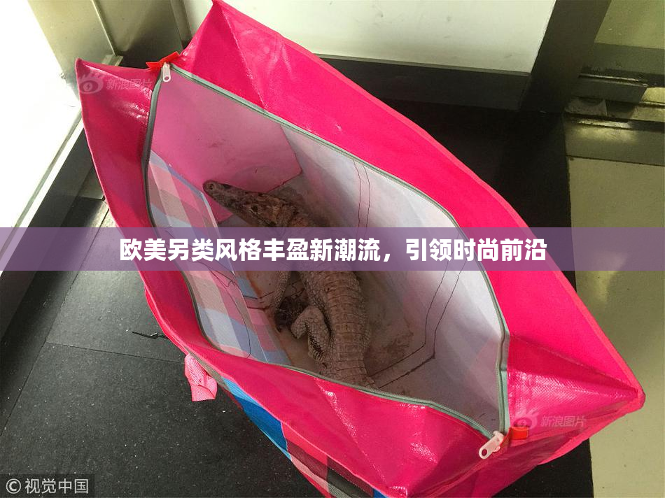欧美另类风格丰盈新潮流，引领时尚前沿
