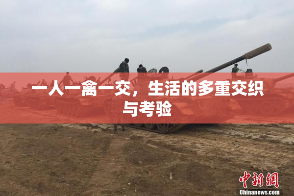 一人一禽一交，生活的多重交织与考验