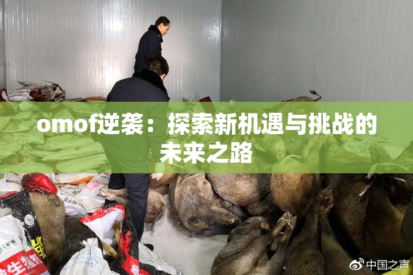 omof逆袭：探索新机遇与挑战的未来之路