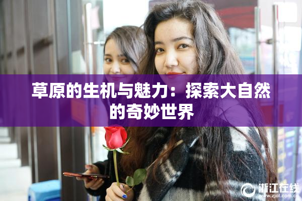 草原的生机与魅力：探索大自然的奇妙世界