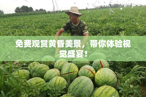 免费观赏黄昏美景，带你体验视觉盛宴！