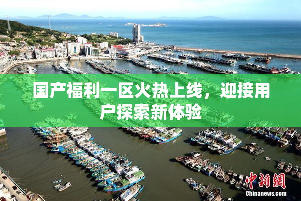 国产福利一区火热上线，迎接用户探索新体验