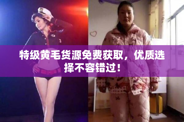 特级黄毛货源免费获取，优质选择不容错过！
