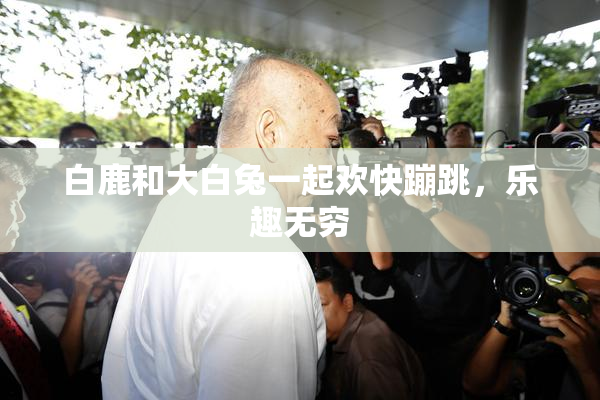 白鹿和大白兔一起欢快蹦跳，乐趣无穷