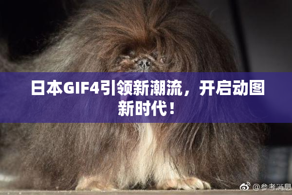 日本GIF4引领新潮流，开启动图新时代！