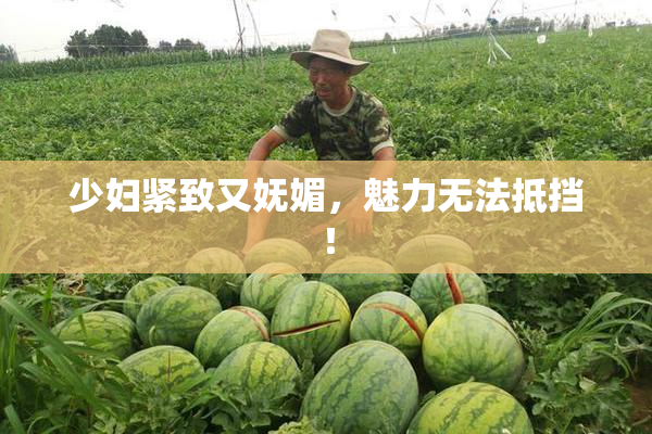 少妇紧致又妩媚，魅力无法抵挡！