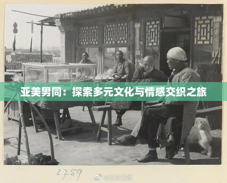 亚美男同：探索多元文化与情感交织之旅
