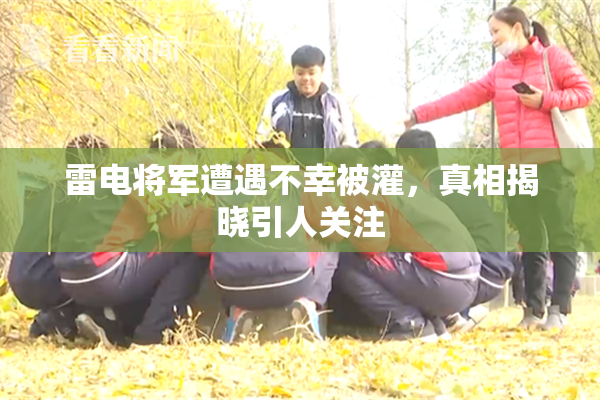 雷电将军遭遇不幸被灌，真相揭晓引人关注