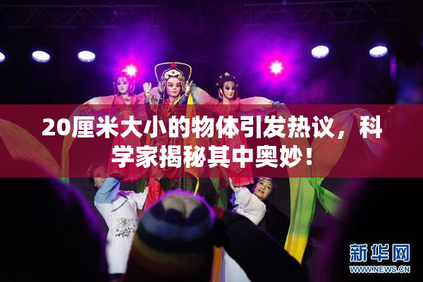 20厘米大小的物体引发热议，科学家揭秘其中奥妙！