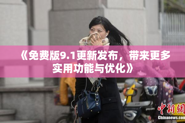 《免费版9.1更新发布，带来更多实用功能与优化》