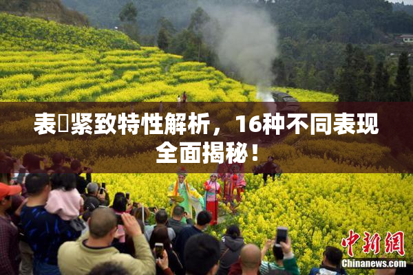 表妺紧致特性解析，16种不同表现全面揭秘！