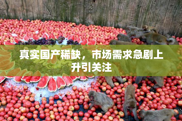 真实国产稀缺，市场需求急剧上升引关注