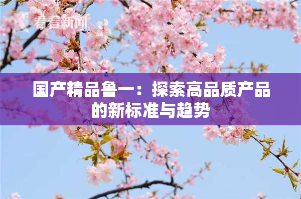 国产精品鲁一：探索高品质产品的新标准与趋势