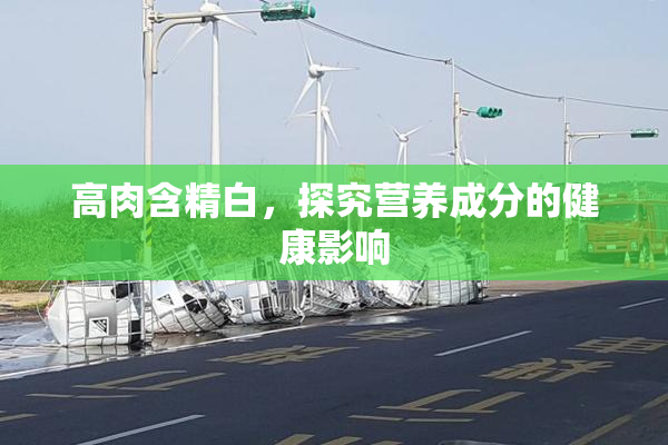 高肉含精白，探究营养成分的健康影响