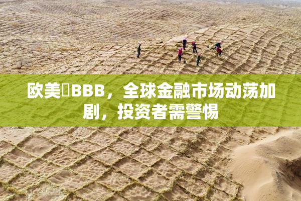 欧美槡BBB，全球金融市场动荡加剧，投资者需警惕