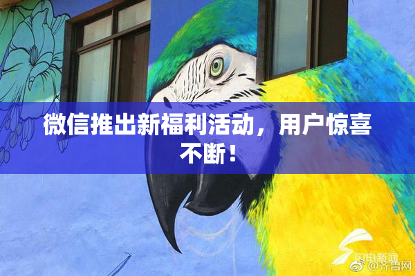 微信推出新福利活动，用户惊喜不断！