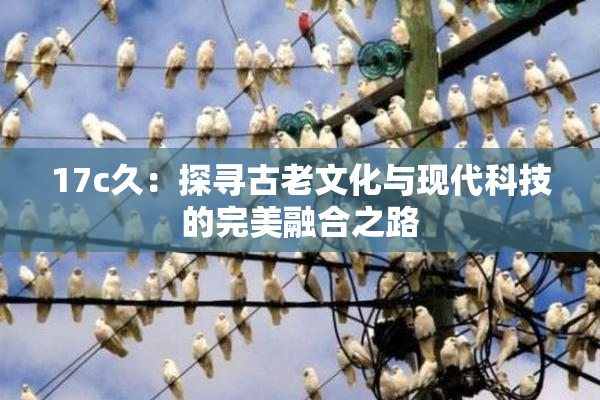 17c久：探寻古老文化与现代科技的完美融合之路