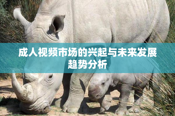成人视频市场的兴起与未来发展趋势分析